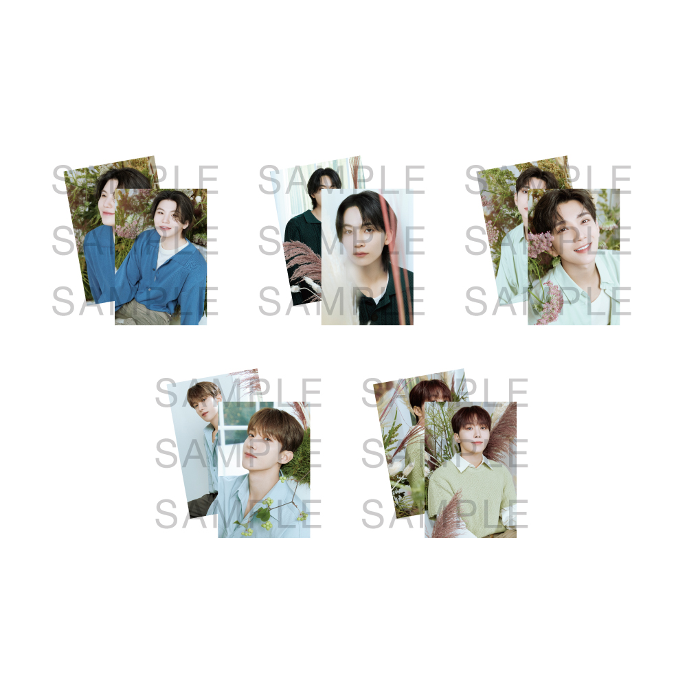 postcard_vocal