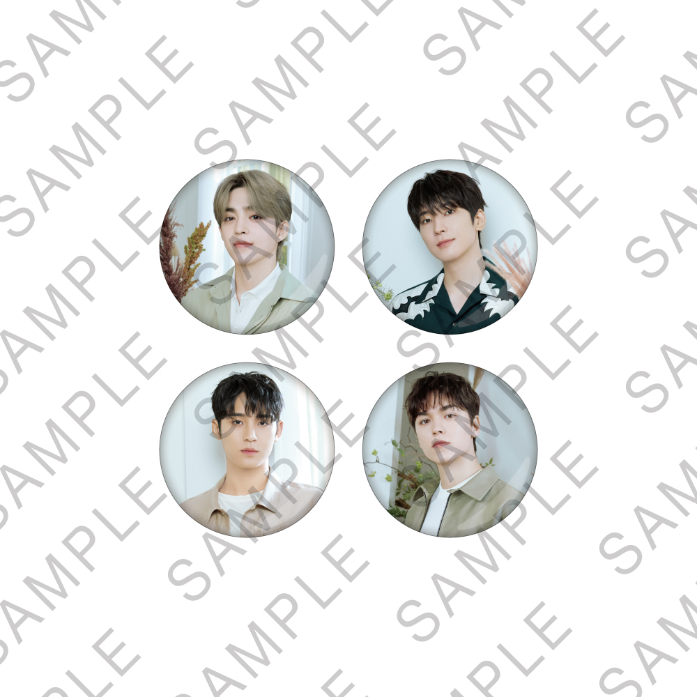 badge2_hiphop